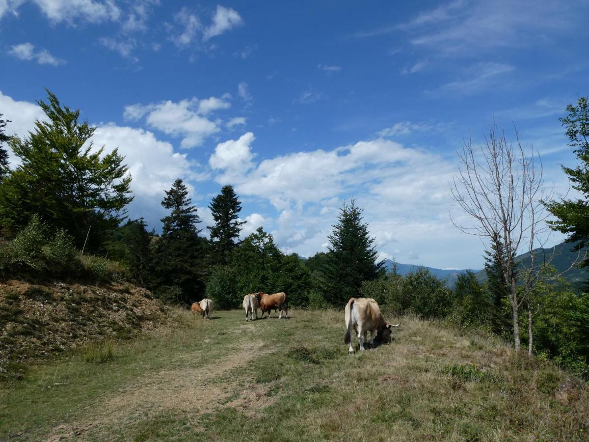 Pleine Nature Pied Pistes Piscine Chauffee Ustou Kültér fotó